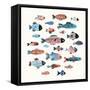 Fish School II-Annie Warren-Framed Stretched Canvas