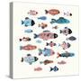Fish School II-Annie Warren-Stretched Canvas