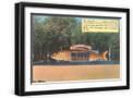 Black Frame