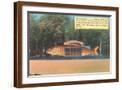 Brown Frame