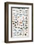 Fish Shellfish and Mollusk-null-Framed Premium Giclee Print