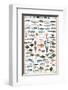 Fish Shellfish and Mollusk-null-Framed Premium Giclee Print