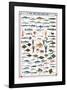 Fish Shellfish and Mollusk-null-Framed Premium Giclee Print