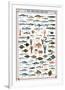 Fish Shellfish and Mollusk-null-Framed Premium Giclee Print