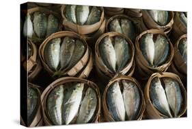 Fish Sold in Bamboo Containers Ready for Steaming at Talat Thong Khan Kham Market-Richard Nebesky-Stretched Canvas