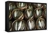 Fish Sold in Bamboo Containers Ready for Steaming at Talat Thong Khan Kham Market-Richard Nebesky-Framed Stretched Canvas