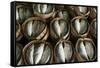 Fish Sold in Bamboo Containers Ready for Steaming at Talat Thong Khan Kham Market-Richard Nebesky-Framed Stretched Canvas