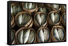 Fish Sold in Bamboo Containers Ready for Steaming at Talat Thong Khan Kham Market-Richard Nebesky-Framed Stretched Canvas