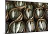 Fish Sold in Bamboo Containers Ready for Steaming at Talat Thong Khan Kham Market-Richard Nebesky-Mounted Photographic Print