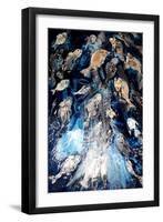 fish spawning-jocasta shakespeare-Framed Giclee Print