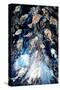fish spawning-jocasta shakespeare-Stretched Canvas