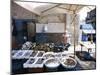 Fish Stall, Naples, Campania, Italy-Oliviero Olivieri-Mounted Photographic Print