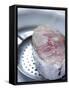 Fish Steak on a Skimmer-Alain Caste-Framed Stretched Canvas