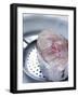 Fish Steak on a Skimmer-Alain Caste-Framed Photographic Print