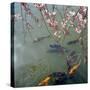 Fish Swimming Under Cherry Blossom-null-Stretched Canvas