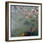 Fish Swimming Under Cherry Blossom-null-Framed Photographic Print