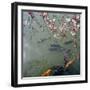 Fish Swimming Under Cherry Blossom-null-Framed Photographic Print