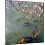 Fish Swimming Under Cherry Blossom-null-Mounted Photographic Print