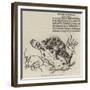 Fish Taken in the Gulf Weed Off St Thomas'S-null-Framed Giclee Print