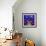 Fish Tales 12-David Sheskin-Framed Giclee Print displayed on a wall