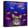 Fish Tales 12-David Sheskin-Framed Stretched Canvas