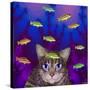 Fish Tales 12-David Sheskin-Stretched Canvas