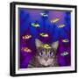 Fish Tales 12-David Sheskin-Framed Giclee Print