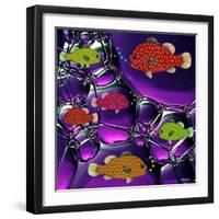 Fish Tales 34-David Sheskin-Framed Giclee Print