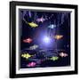 Fish Tales 3-David Sheskin-Framed Giclee Print