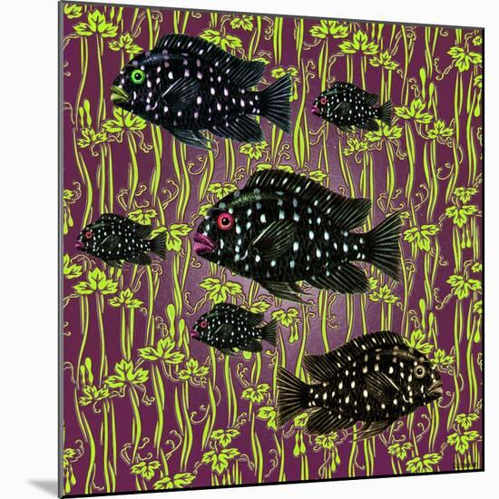 Fish Tales 4-David Sheskin-Mounted Giclee Print