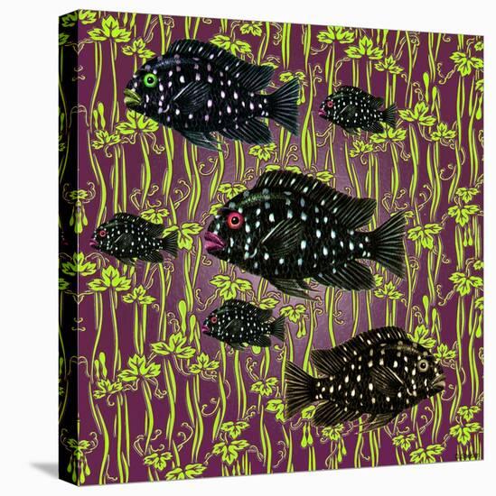 Fish Tales 4-David Sheskin-Stretched Canvas