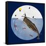 Fish Tales 50-David Sheskin-Framed Stretched Canvas