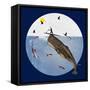 Fish Tales 50-David Sheskin-Framed Stretched Canvas