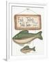 Fish Tales-Debbie McMaster-Framed Giclee Print