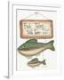 Fish Tales-Debbie McMaster-Framed Giclee Print