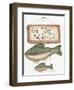 Fish Tales-Debbie McMaster-Framed Giclee Print