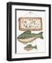 Fish Tales-Debbie McMaster-Framed Giclee Print