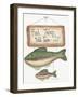 Fish Tales-Debbie McMaster-Framed Giclee Print