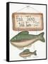 Fish Tales-Debbie McMaster-Framed Stretched Canvas