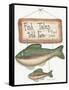 Fish Tales-Debbie McMaster-Framed Stretched Canvas