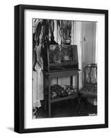 Fish Tank-null-Framed Premium Photographic Print