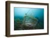 Fish Trap over a Coral Reef, Cap De Creus, Costa Brava, Spain-Reinhard Dirscherl-Framed Photographic Print