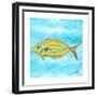 Fish Underwater I-Julie DeRice-Framed Premium Giclee Print