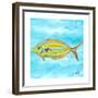 Fish Underwater I-Julie DeRice-Framed Premium Giclee Print