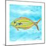 Fish Underwater I-Julie DeRice-Mounted Premium Giclee Print