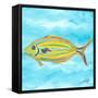 Fish Underwater I-Julie DeRice-Framed Stretched Canvas