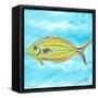 Fish Underwater I-Julie DeRice-Framed Stretched Canvas