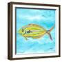 Fish Underwater I-Julie DeRice-Framed Art Print