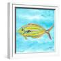 Fish Underwater I-Julie DeRice-Framed Art Print