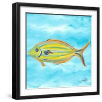 Fish Underwater I-Julie DeRice-Framed Premium Giclee Print